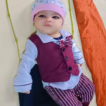 Vaidik
