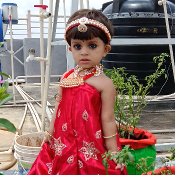 Charvi