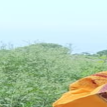Vaidehi Pnadey