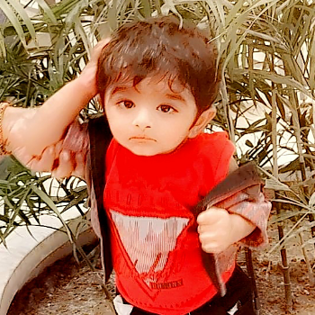 Arsalan