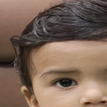 Joy borkar