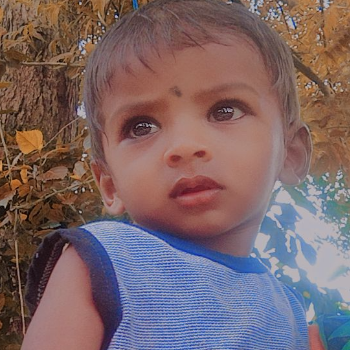 Rudra lande
