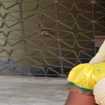 Deeksha