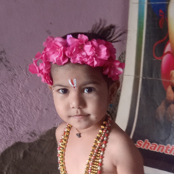 Sainisarg damami